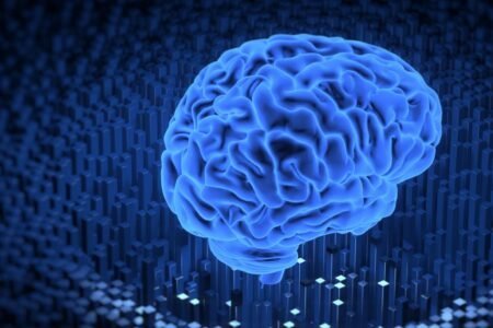محققان با ایجاد توهم ذهنی وجود انگشت ششم، واکنش مغز را بررسی کردند
