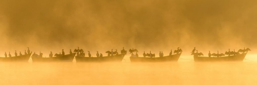 مسابقه عکاسی