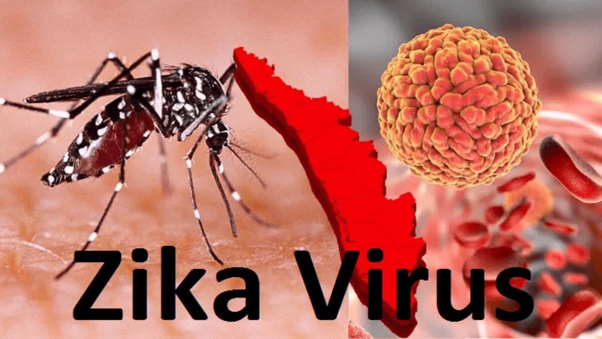 محققان هشدار می‌دهند؛ جهان در معرض خطر شیوع جدید ویروس زیکا