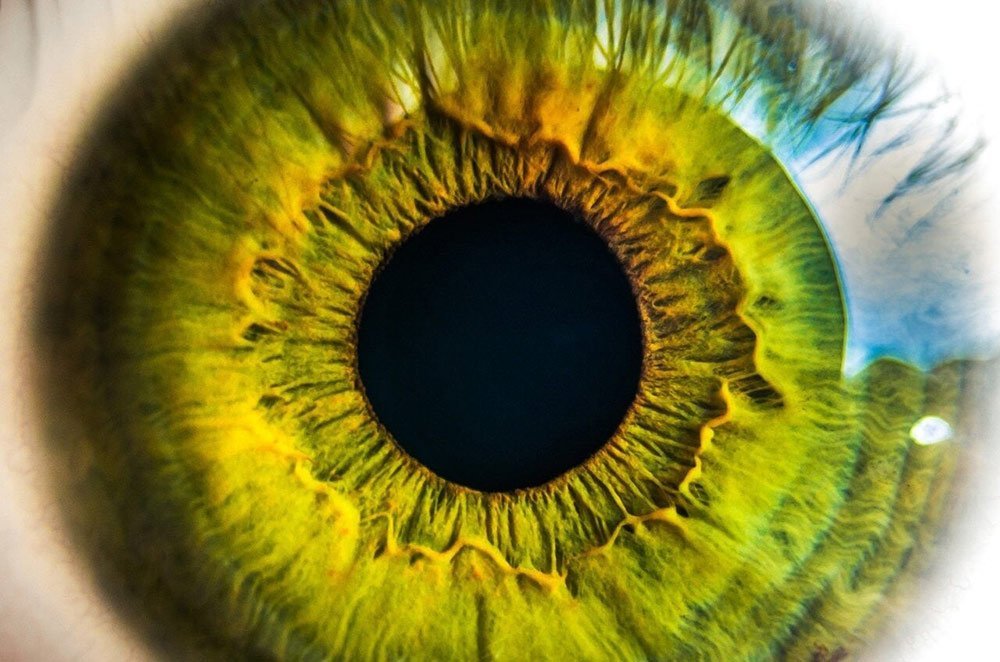 دانشمندان با اولتراسوند به دنبال راهی برای تقویت و بازیابی بینایی هستند