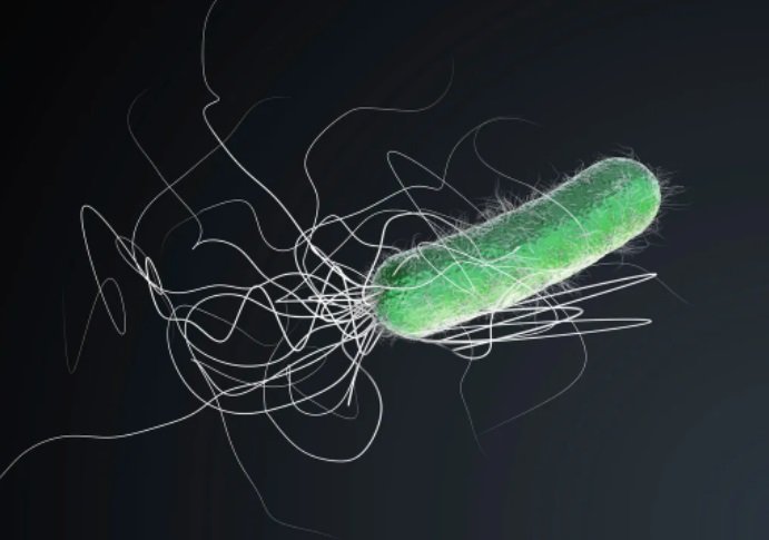 کنسرت میکروارگانیسم‌ها: صدای باکتری، ریزترین موجود زنده جهان را بشنوید