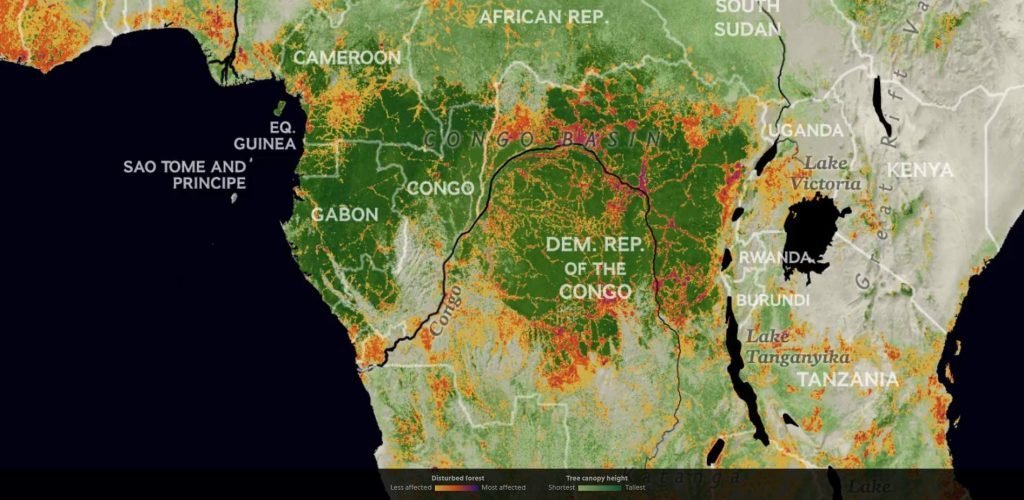 جنگل زدایی آفریقای مرکزی