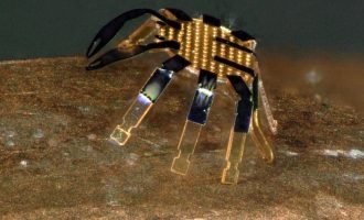 ربات خرچنگ