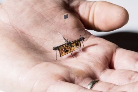 با پنج نمونه از کوچک‌ترین ربات‌های دنیا آشنا شوید