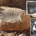 روزیاتو: بقایای یک لاک پشت باردار ۲,۰۰۰ ساله و تخم آن در پمپئی کشف شد