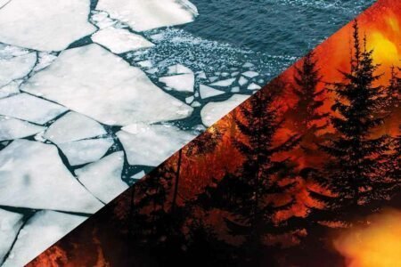 بلای دخالت بشر در طبیعت: از ذوب یخ‌های شمالگان تا آتش‌سوزی در جنگل‌های غرب آمریکا
