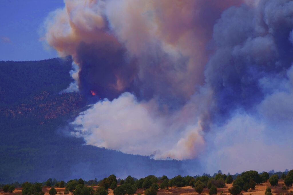 آتش سوزی جنگل
هرمیتس پیک کلف کنیون