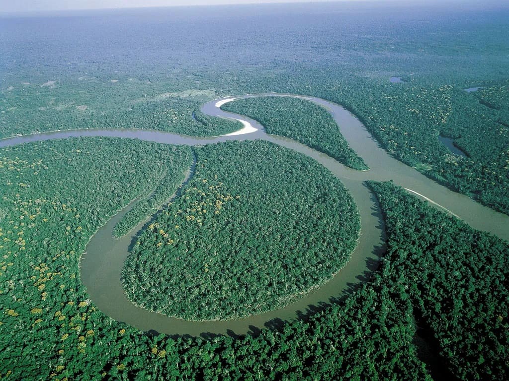 عدم وجود پل روی رودخانه آمازون