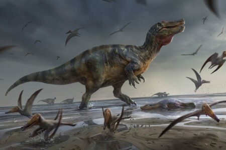 کشف فسیل بزرگ‌ترین دایناسور گوشت‌خوار اروپا در بریتانیا