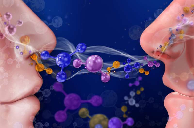نقش بوی بدن در دوستیابی
