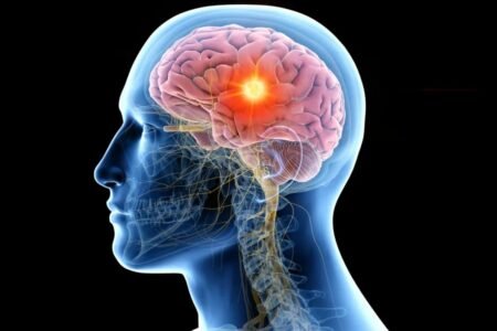 مطالعه جدید: مغز انسان در اثر فعالیت داغ می‌کند