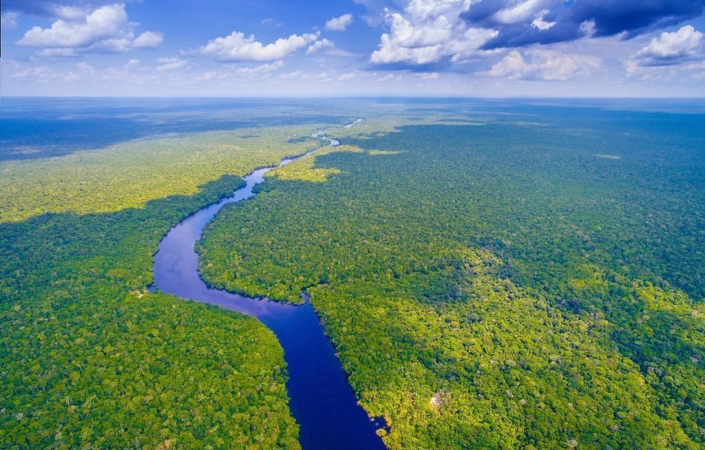 عدم وجود پل روی رودخانه آمازون