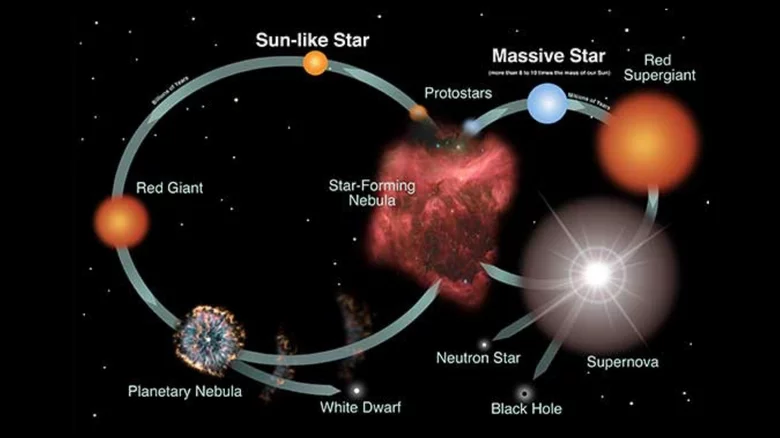 حقایق جالب در مورد سیاهچاله ها که ذهن شما را متحیر می کند! قطب آی تی how black holes are born 1657911747 قطب آی تی