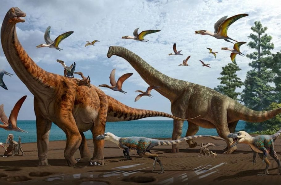 کشف فسیل‌های جدید از دایناسورها در چین