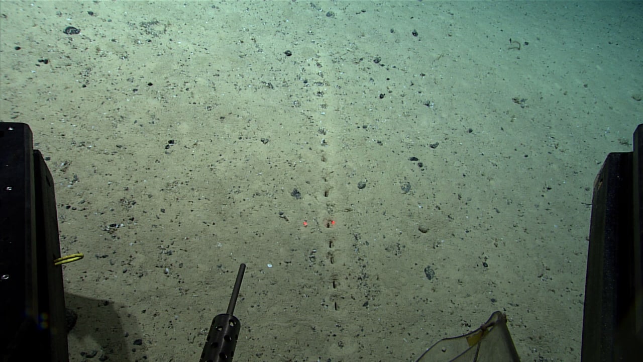 کشفی عجیب در اعماق اقیانوس اطلس؛ حفره‌های که گویی توسط انسان‌ها ایجاد شده‌اند