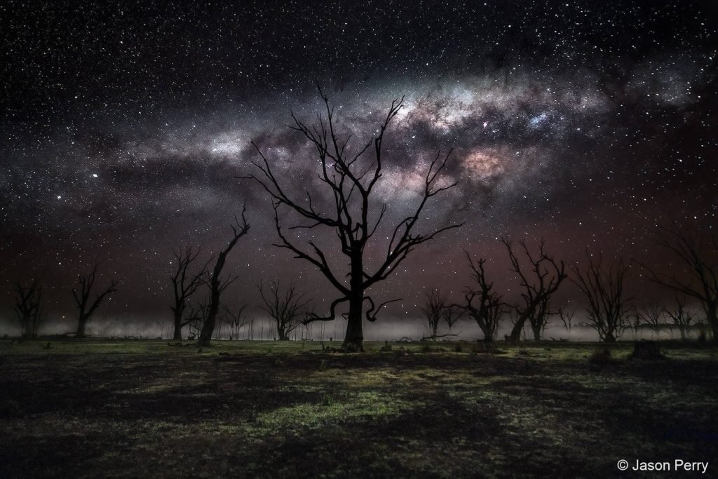 برندگان مسابقه عکاسی تصویربرداری از طبیعت استرالیا