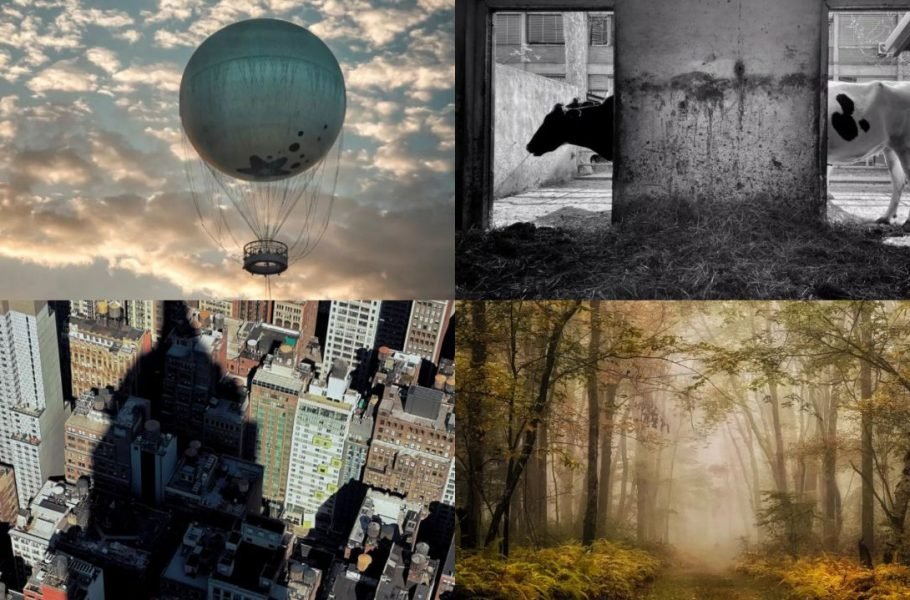 برندگان جشنواره عکاسی با آیفون 2022 مشخص شدند: هنرنمایی آیفون‌های قدیمی‌تر