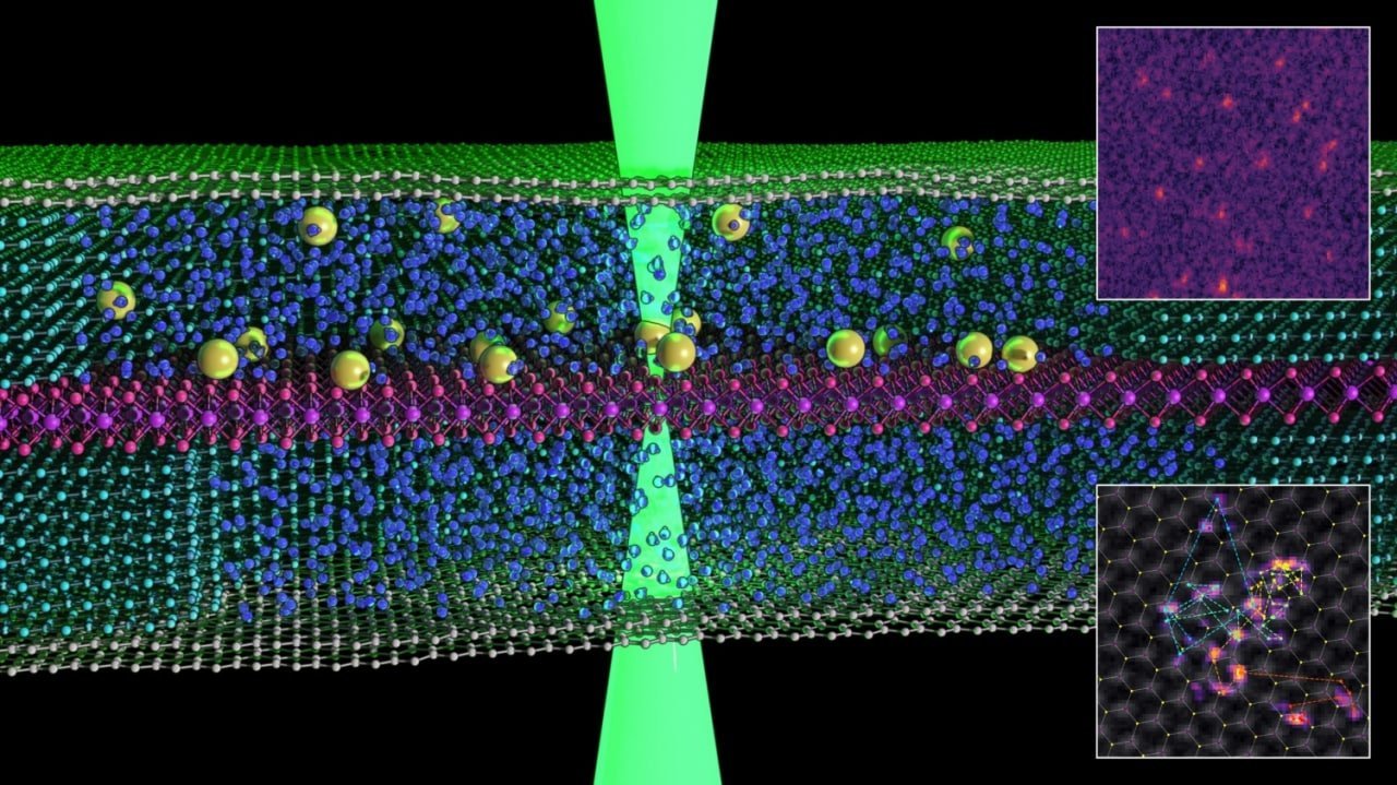 اولین ویدیو از «شنا کردن» اتم‌ها در مایع منتشر شد [تماشا کنید]