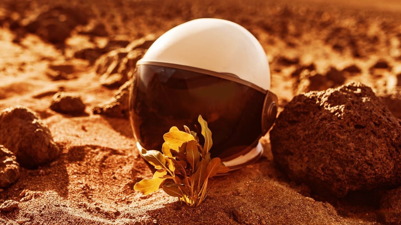 رونمایی از اولین گیاهی که در مریخ کاشته می‌شود