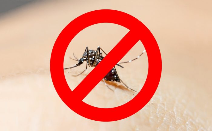 چرا طعمه پشه‌ها می‌شوید؟