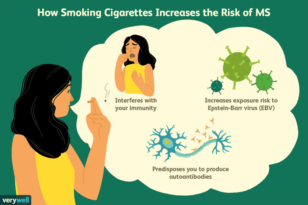 مصرف سیگار احتمال ابتلا بهبسیاری از بیماری‌های خودایمنی هم‌چون ام‌اس را افزایش می‌دهد.