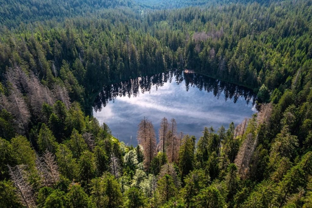جنگل سیاه آلمان
دریاچه وایلدر سی