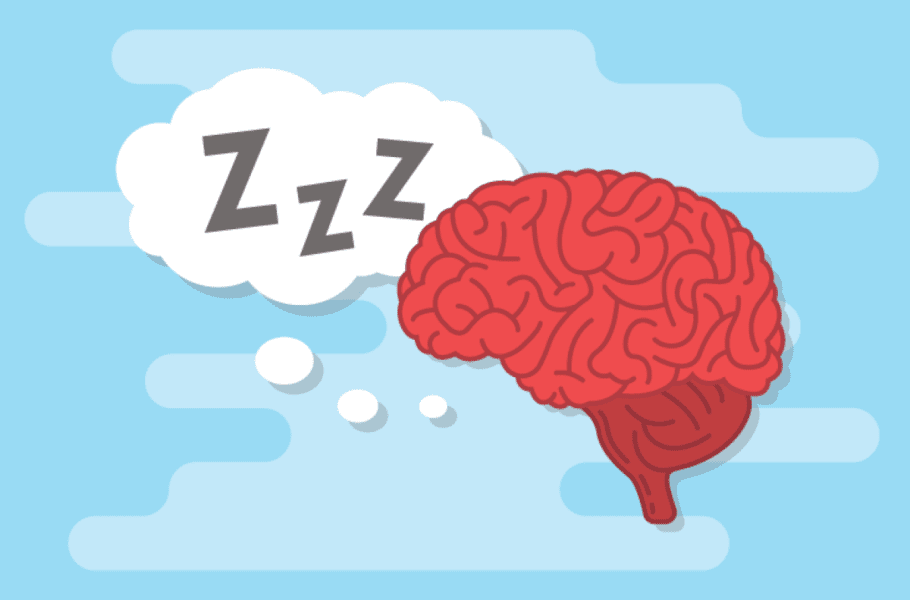 فعالیت‌های مغز در حین خواب