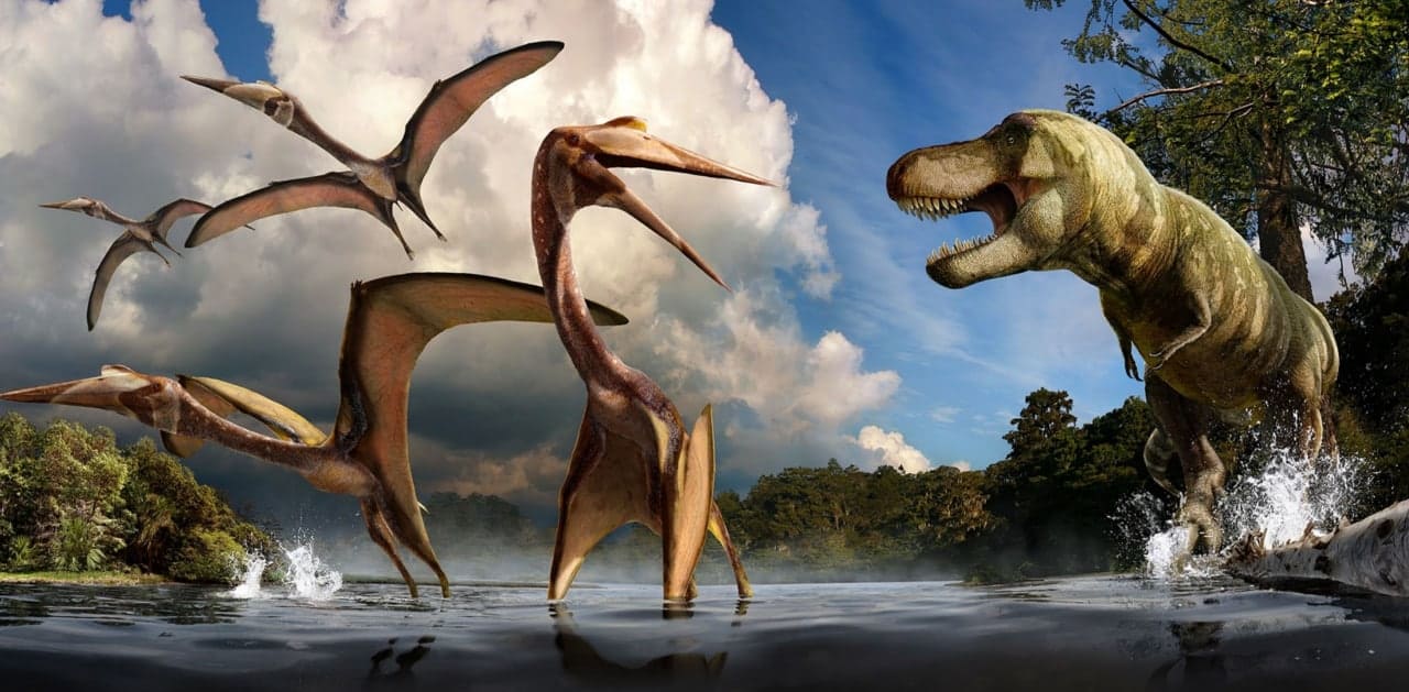 دانشمندان چینی: دایناسورها پیش از انقراض هم رو به انحطاط بوده‌اند
