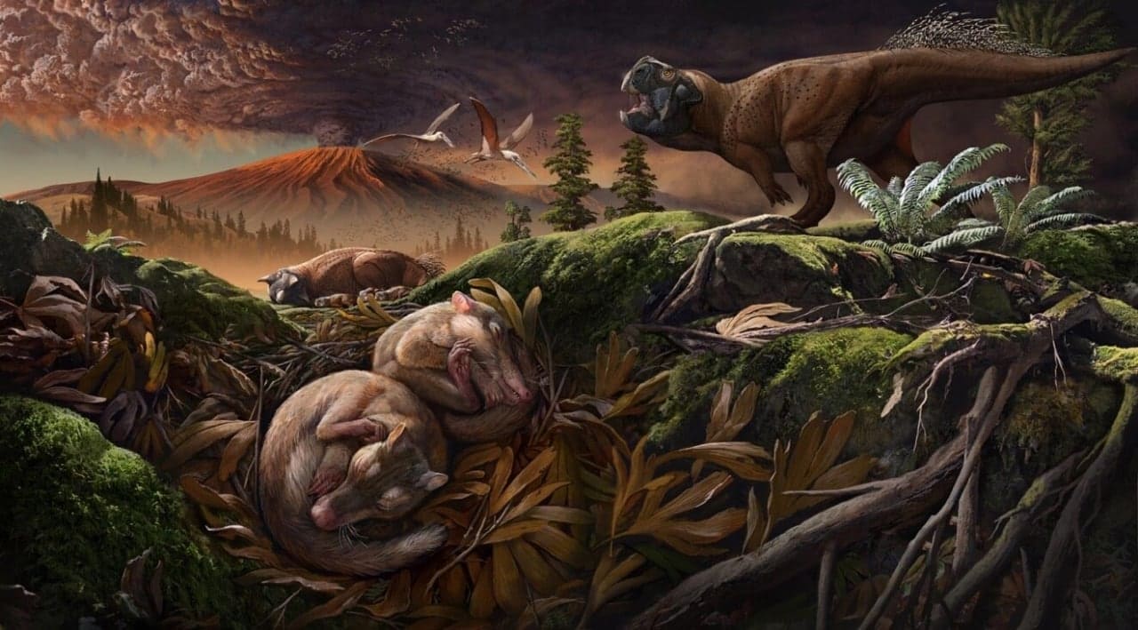معلومات جديدة عن الديناصورات وكيف انقرضت