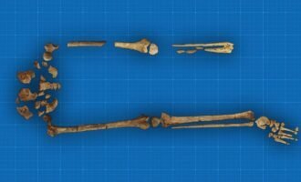 استخوان 7000 ساله