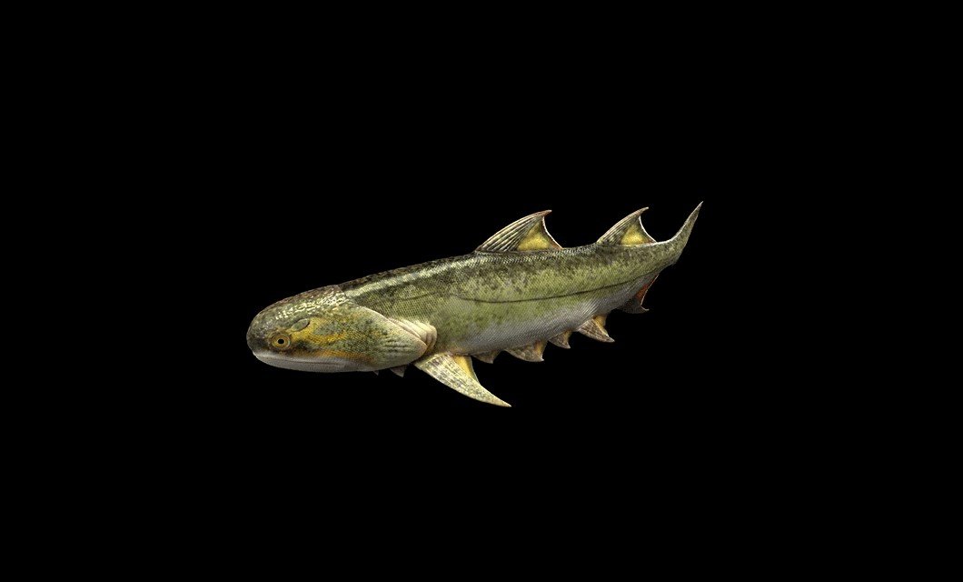 قدیمی‌ترین ماهی آرواره‌دار
