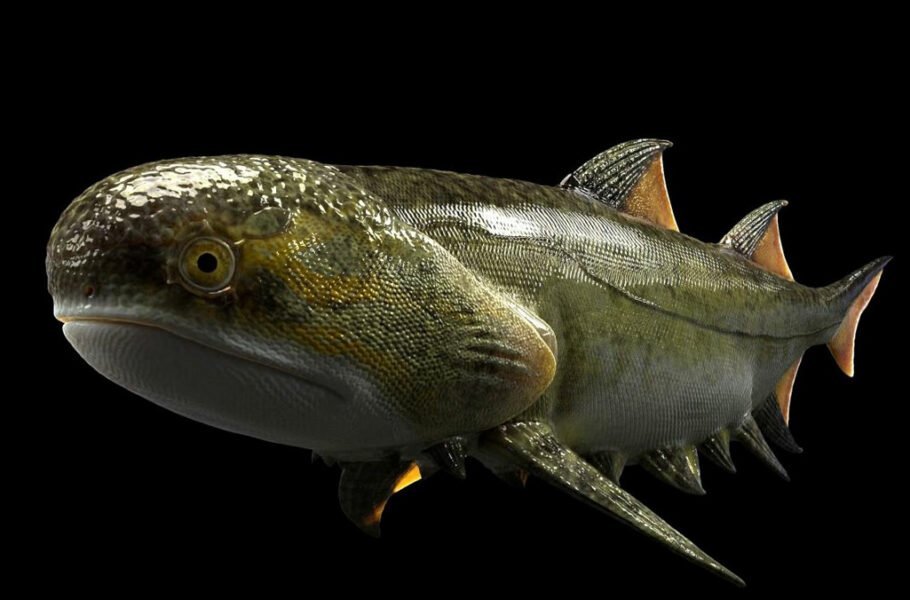 محققان چینی احتمالا فسیل قدیمی‌ترین ماهی آرواره‌دار دنیا را کشف کردند