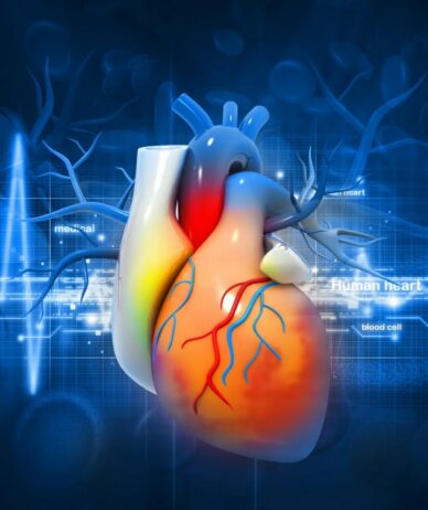 دستاورد محققان: تشخیص التهاب عضلات قلب از طریق آزمایش خون برای اولین‌بار