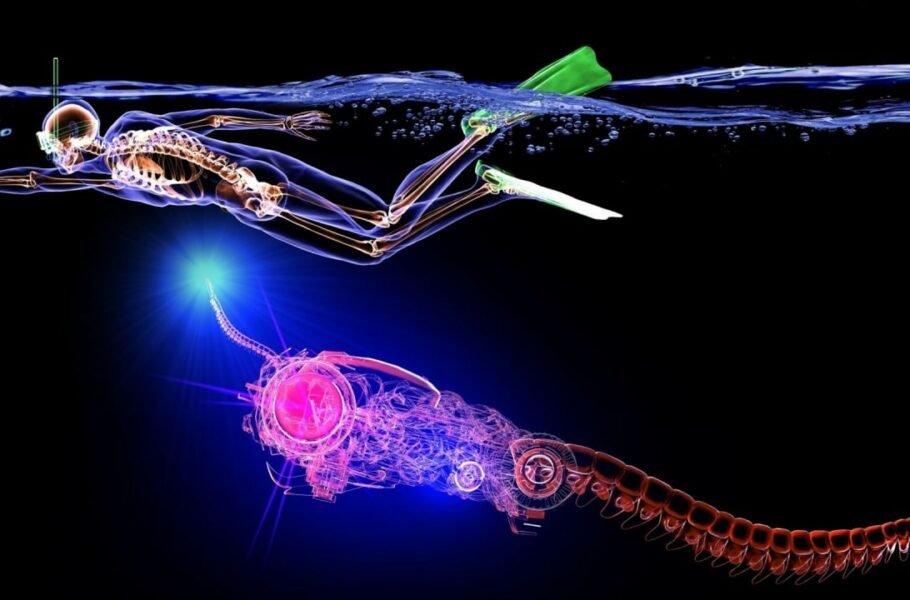 دانشمندان سریع‌ترین ربات شناگر نرم جهان را ساختند [تماشا کنید]