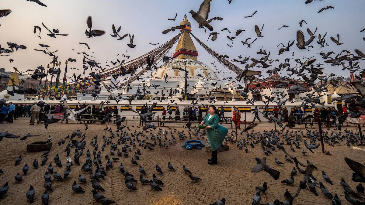 غذا دادن به پرندگان در معبد سوایامبونات در نپال