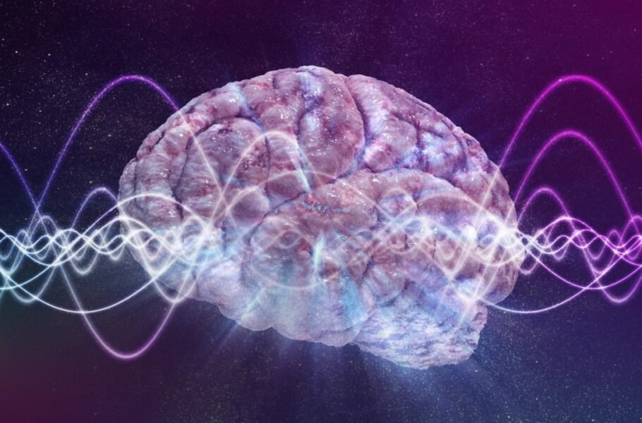 پژوهشی جدید: مغزهای دارای سطوح بالاتر ویتامین D، عملکرد بهتری دارند