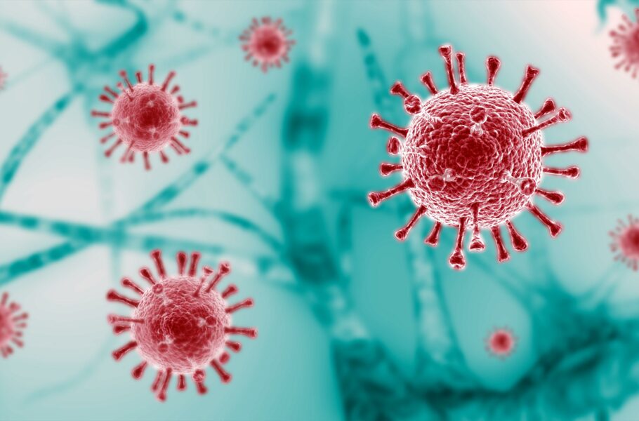 مطالعه جدید: ویروس کرونا نه‌تنها در ریه، بلکه در کل بدن پخش می‌شود