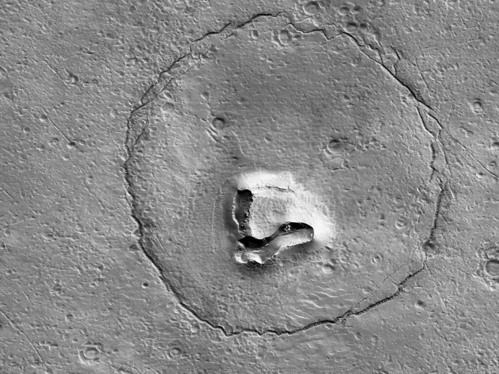صورت یک خرس روی مریخ! + عکس