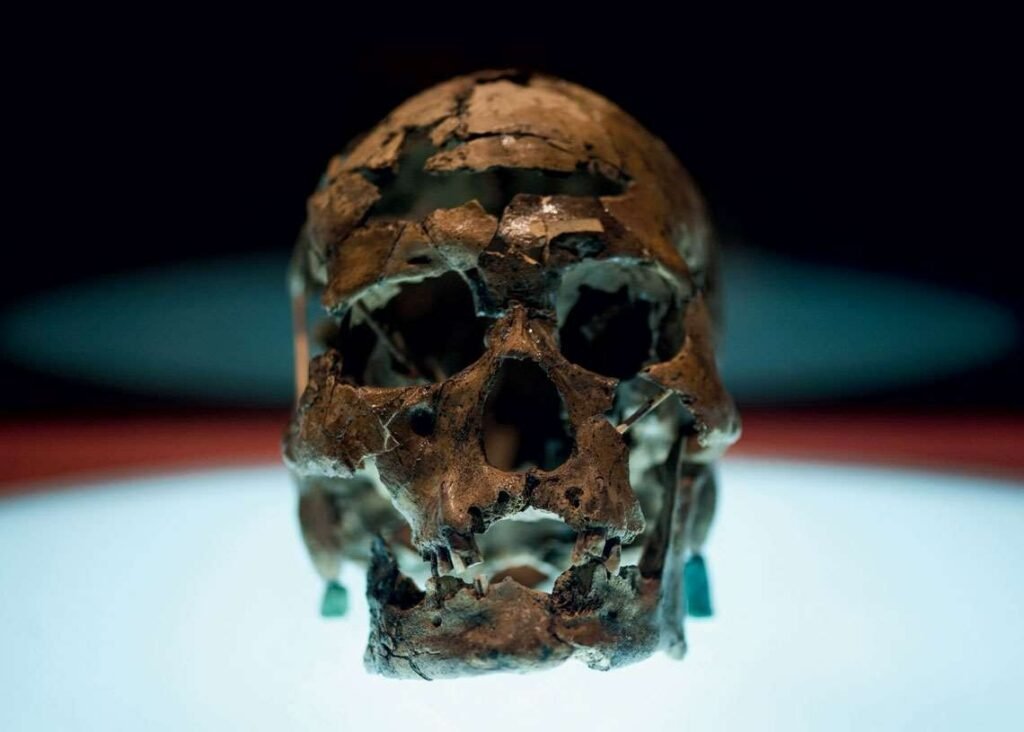 اخبارشبیه‌سازی خیره‌کننده چهره مردی که 9600 سال پیش در برزیل زندگی می‌کرده است