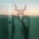 سیاوش